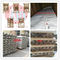 20 ফুট ধারক লাইনার উচ্চ শক্তি ফ্লেসি ব্যাগ নিষ্পত্তিযোগ্য ফ্লেক্সি ব্যাগ পরিবেশগত বন্ধুত্বপূর্ণ ISO9001